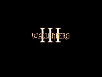 ムービー『Broderna Wallenberg 3』