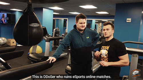 pasha-vs-ddoser