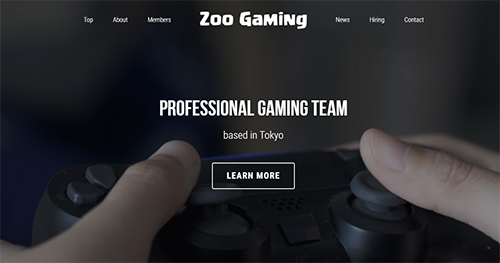 zoo-gaming
