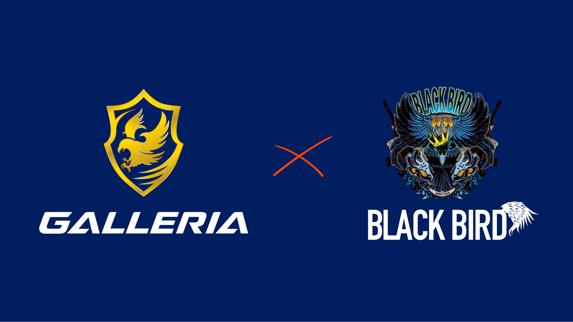 プロeスポーツチーム Blackbird とゲーミングpc ガレリア がスポンサーシップ契約を締結 Negitaku Org Esports