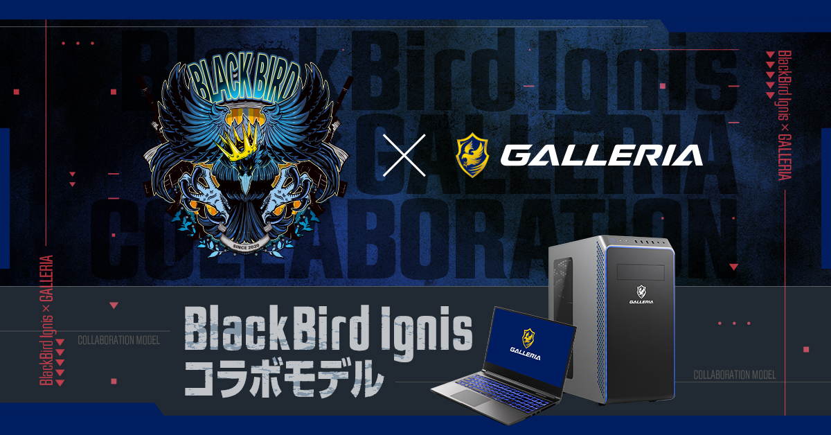 ゲーミングPC『GALLERIA』にVALORANTプロチーム『BlackBird Ignis 