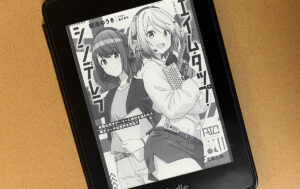小説『エイム・タップ・シンデレラ』の作者があまりにもeスポーツと5vs5爆破FPSに詳しすぎる