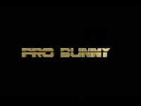 ProBunny