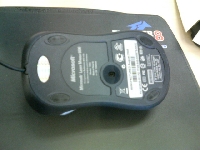 Microsoft Laser Mouse 6000(英語版)