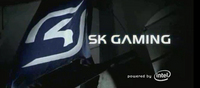 SK Gaming