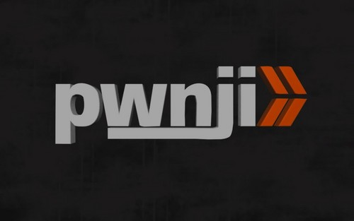 ムービー『Pwnji2』