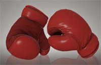 アンロック武器 - The Killng Gloves of Boxing (K.G.B)