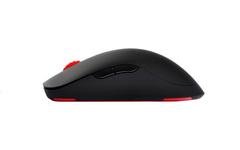 ZOWIE AM -1-