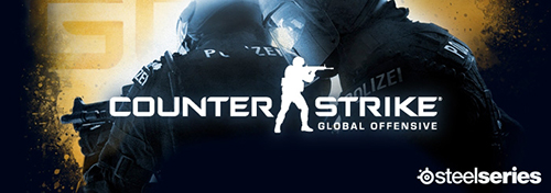 2013 DreamHack SteelSeries CS:GO Championship