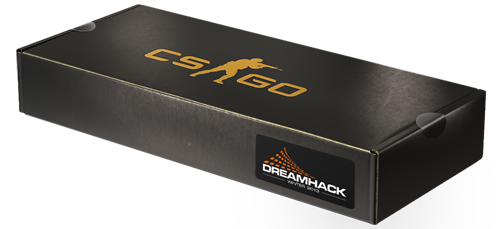 『DreamHack Winter 2013 Souvenir Packages