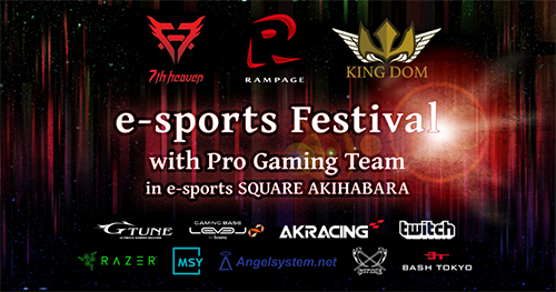 e-sports Festival with Pro GamingTeam